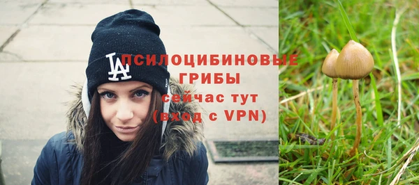 МДПВ Абдулино