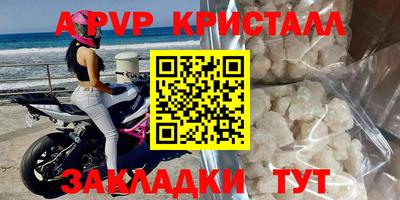 круглые Владимир