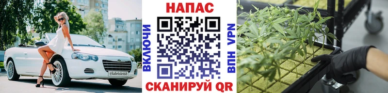Бошки марихуана планчик  Кинешма 